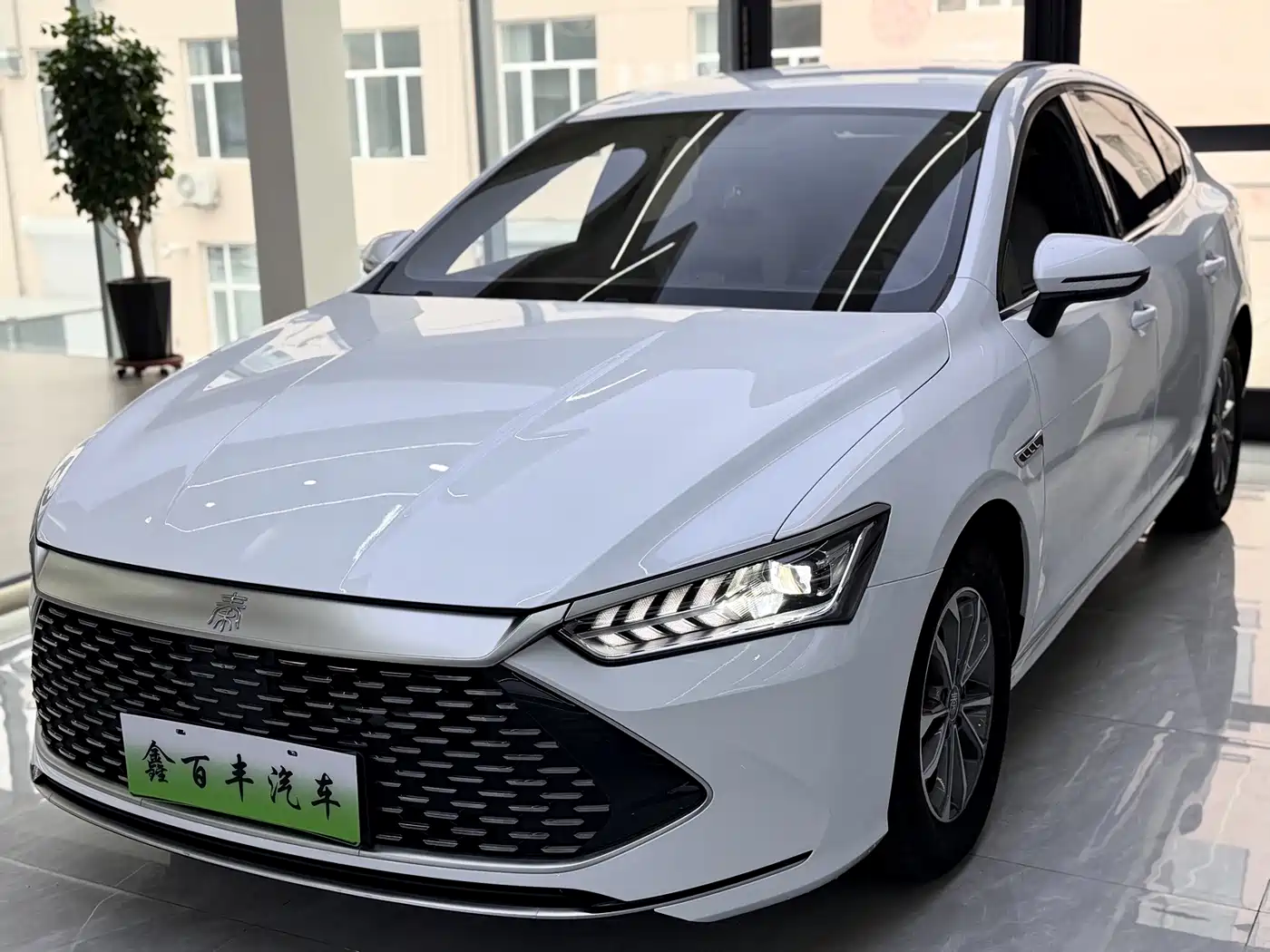 Photo 1 - BYD Qin PLUS