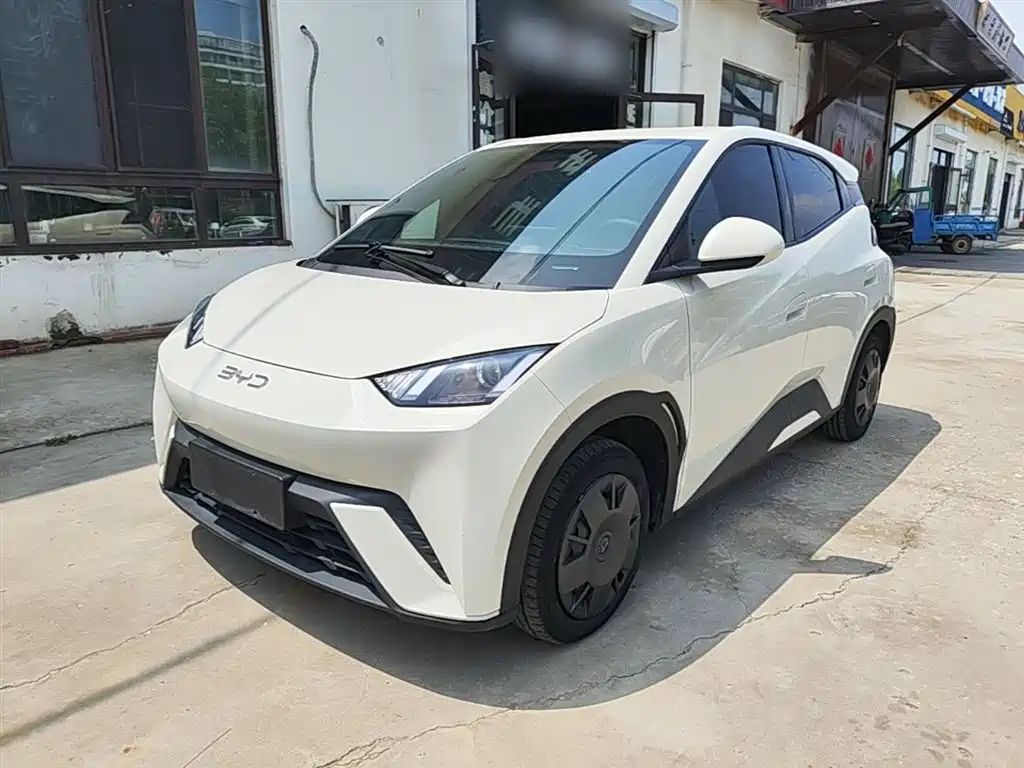 BYD Seagull 2024 Glory Edition 305km Vitality Edition фото 2