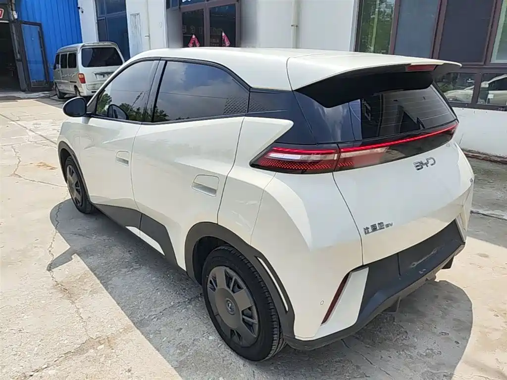 BYD Seagull 2024 Glory Edition 305km Vitality Edition фото 5