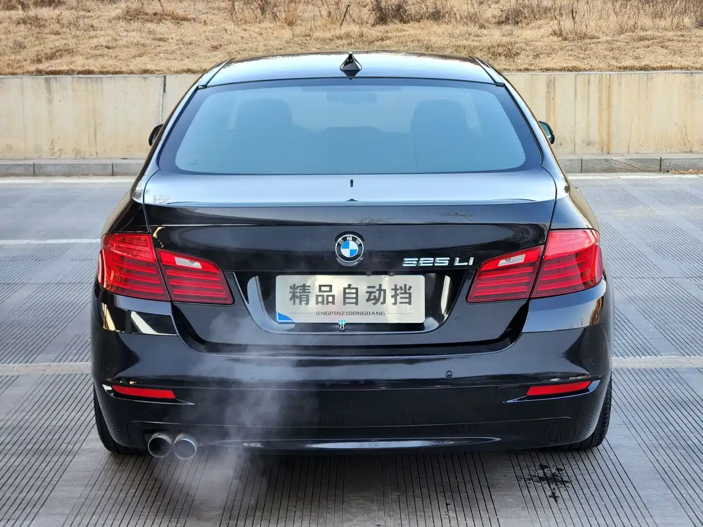 BMW 5 Series 2014 525Li Leading фото 5