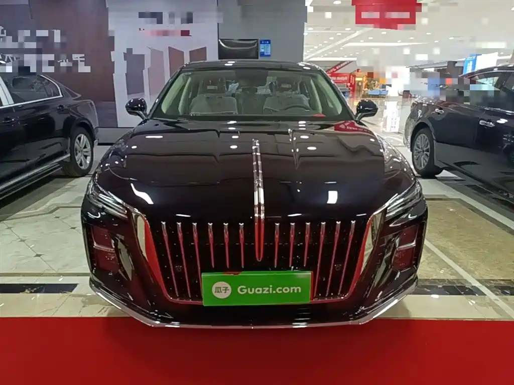 Hongqi H5 2025 1.5T DCT Flag Rhythm 500,000 Units Memorial Edition фото 3