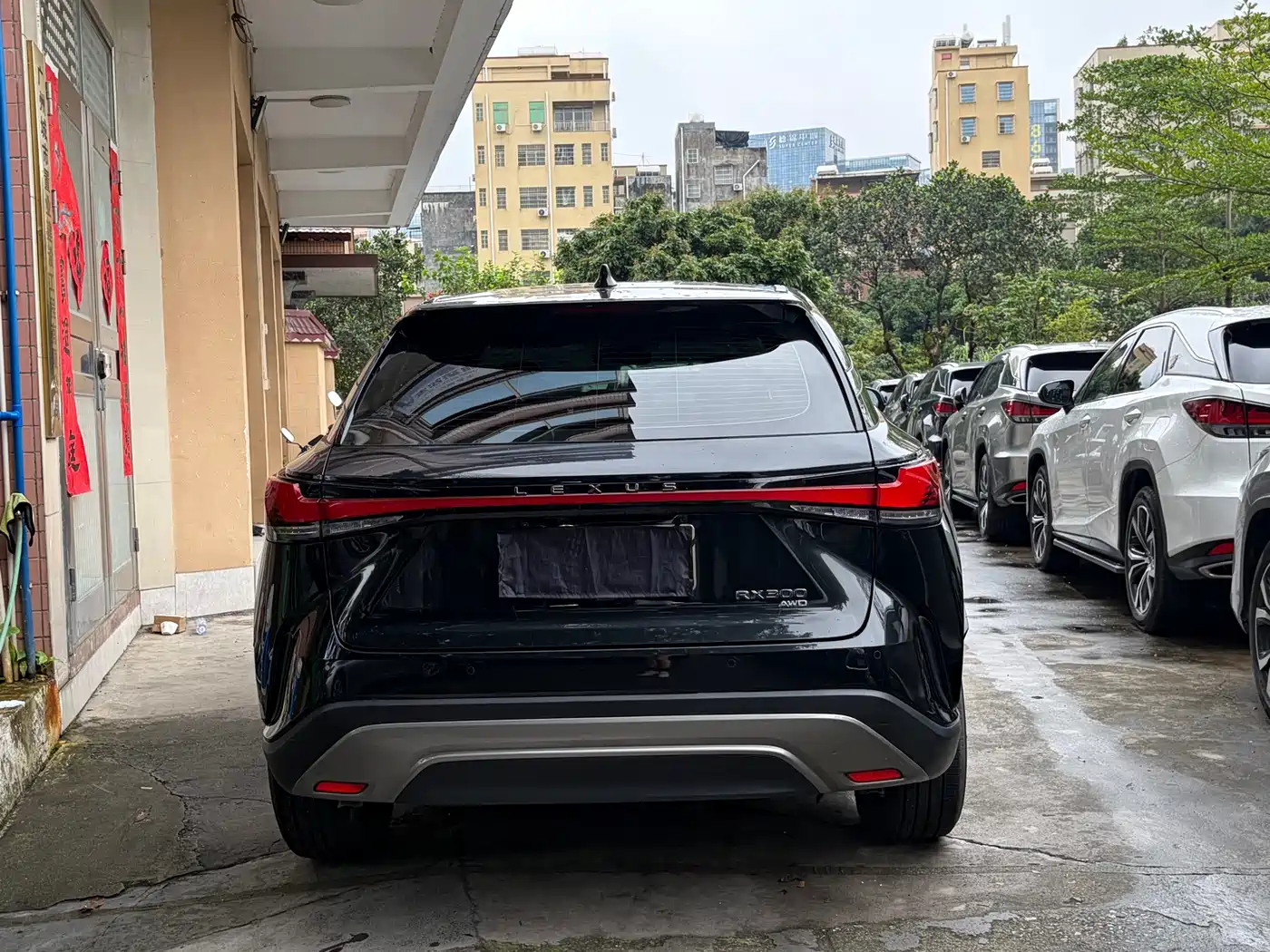 Lexus RX 2025 300 4WD Premium Edition фото 9