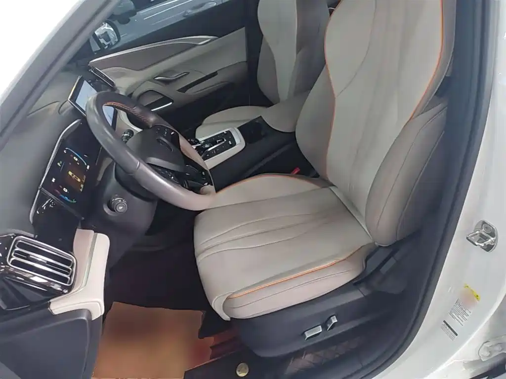 BYD Song Pro New Energy 2024 Glory Edition DM-i 71KM Leading фото 15