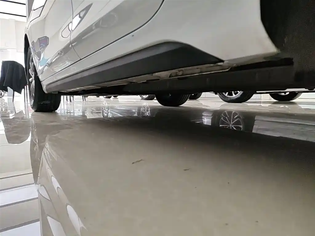 BYD Destroyer 05 2024 Glory Edition DM-i 55KM Luxury фото 22