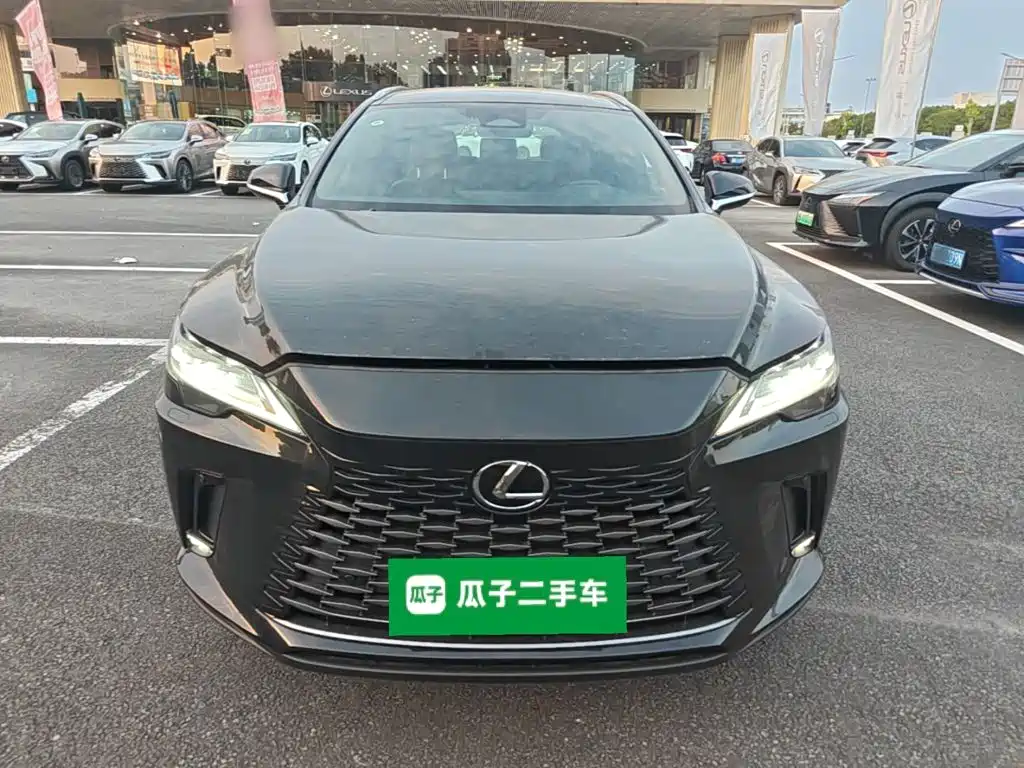 Фото 3 - Lexus RX