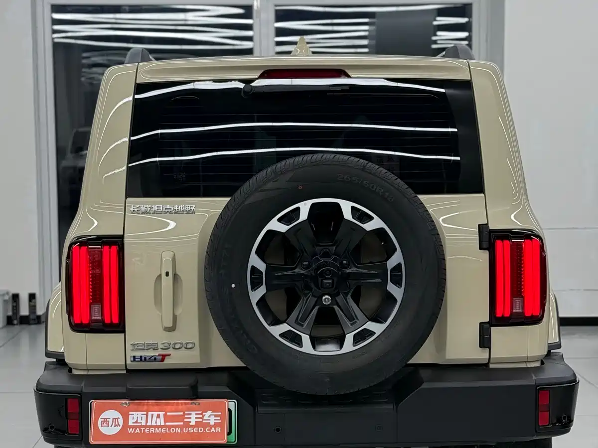 TANK TANK 300 NEW ENERGY