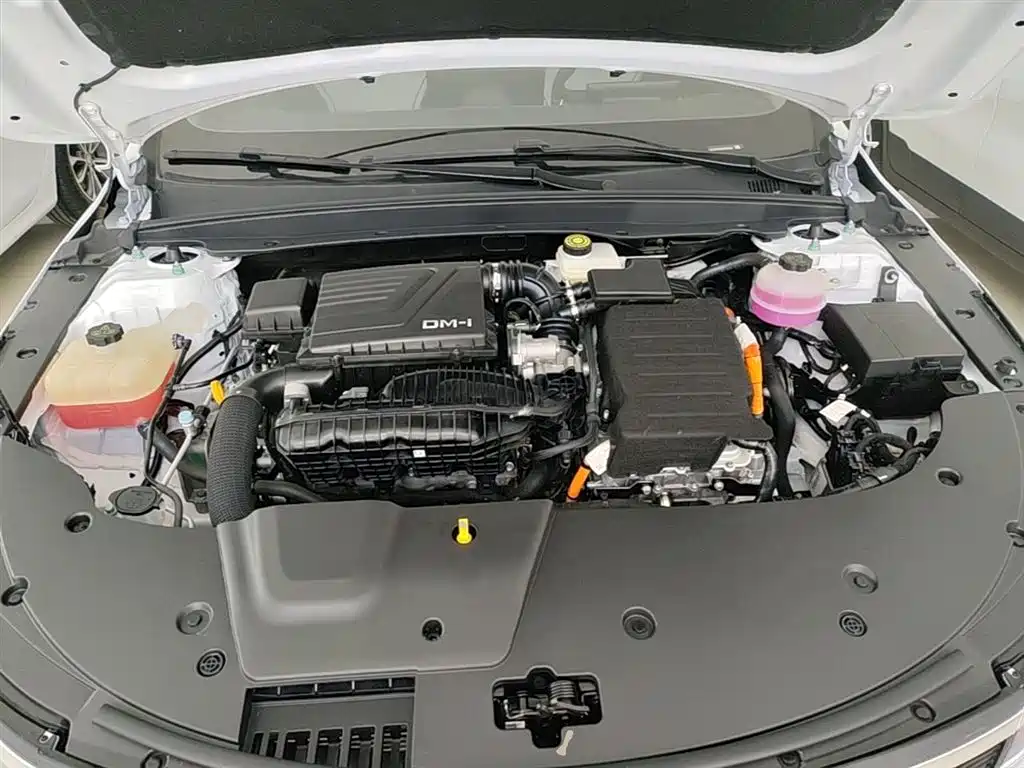 BYD Destroyer 05 2024 Glory Edition DM-i 55KM Luxury фото 20