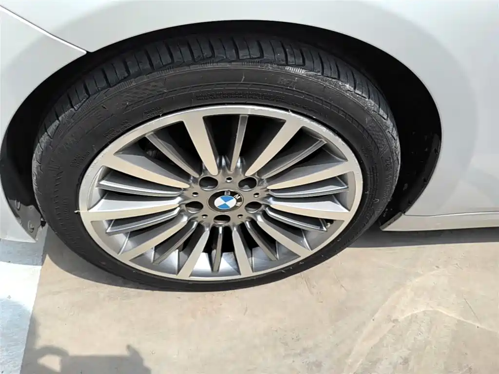 BMW 3 Series 2019 320Li Fashion Type фото 23
