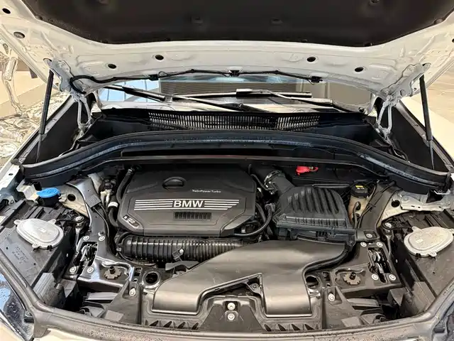 BMW X1 2020 xDrive25Li Premium Edition — фото 2