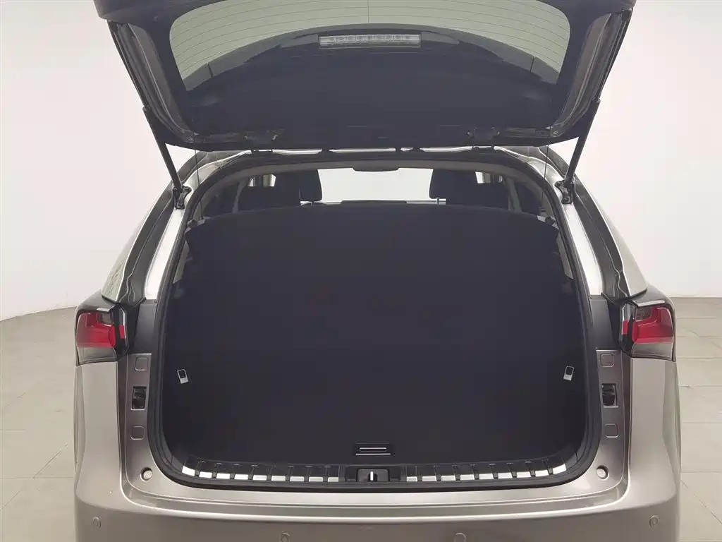 Lexus NX 2015 200 FWD Premium фото 16