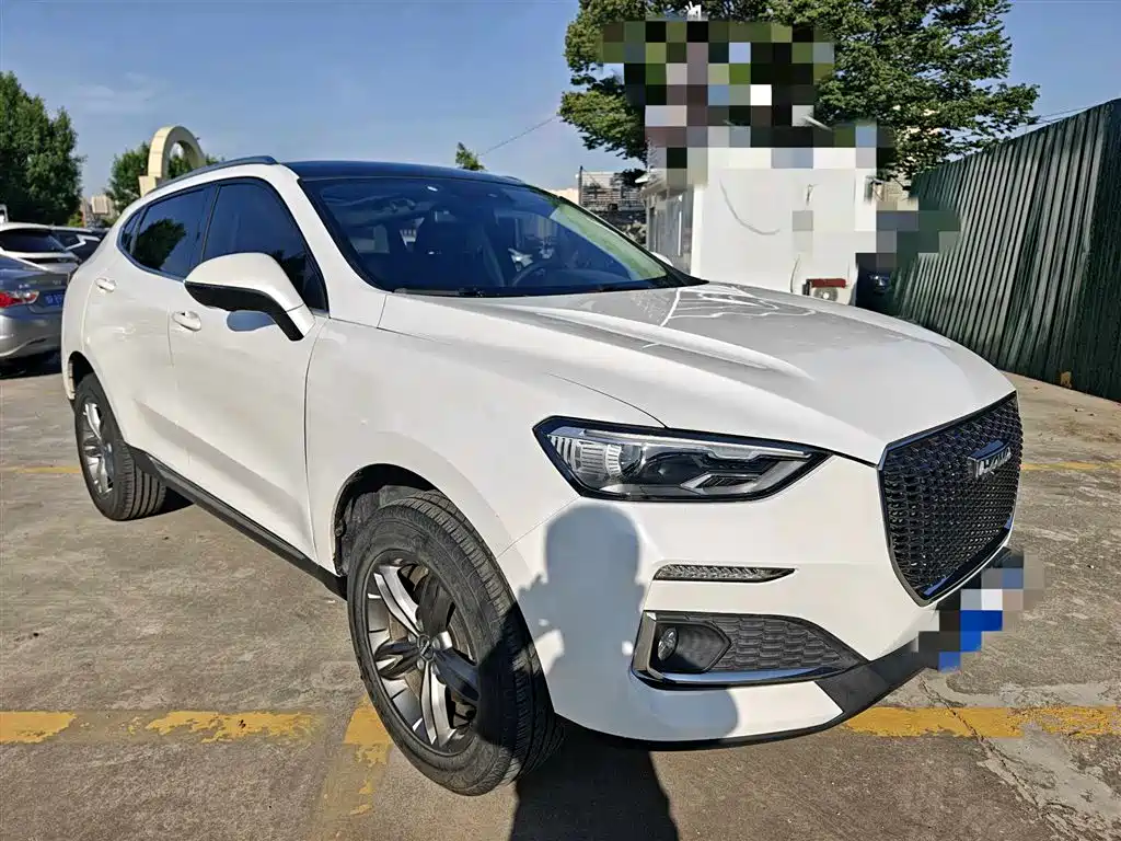 Haval F5 2018 1.5T i-Trend фото 3