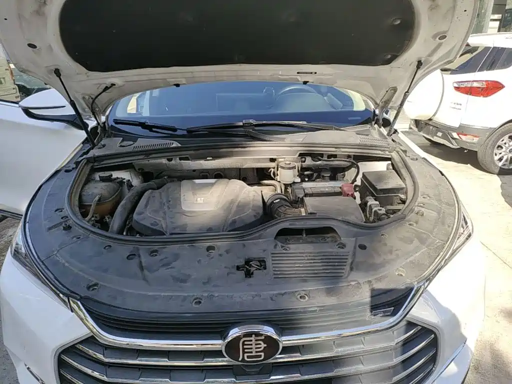 Photo 20 - BYD Tang