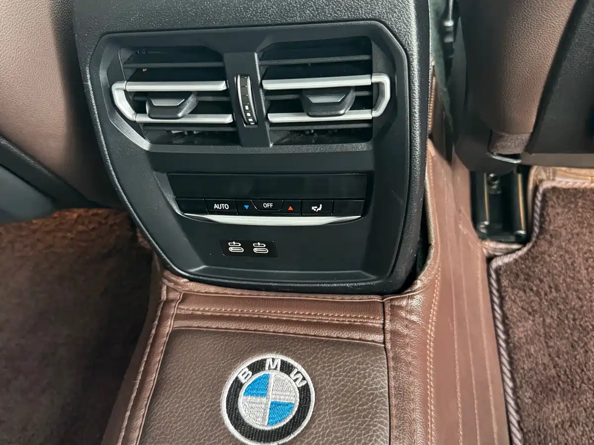 BMW 3 Series 2020 325Li Launch Edition фото 15