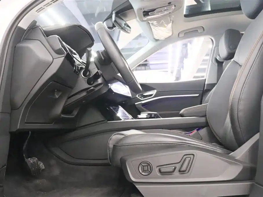 Audi e-tron 2021 50 quattro Luxury фото 14