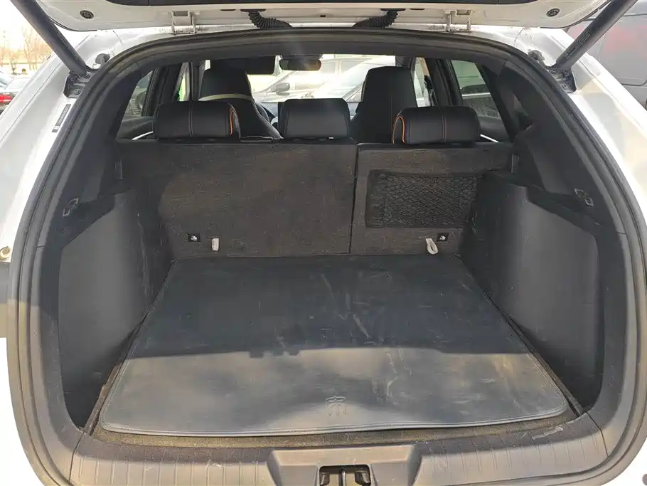 BYD SONGJIANG NEW ENERGY