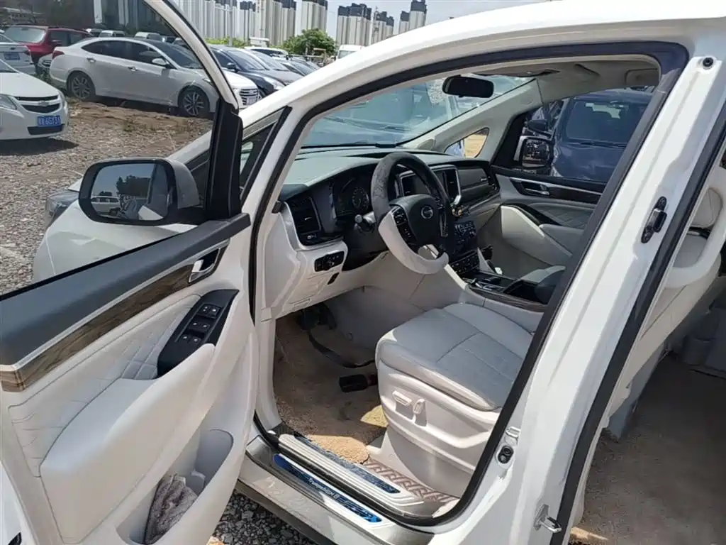 GAC Trumpchi Trumpchi M8 2018 320T Exclusive Edition фото 16