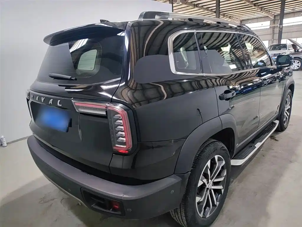 Haval Big Dog 2021 1.5T DCT 2WD Border Collie Edition фото 7