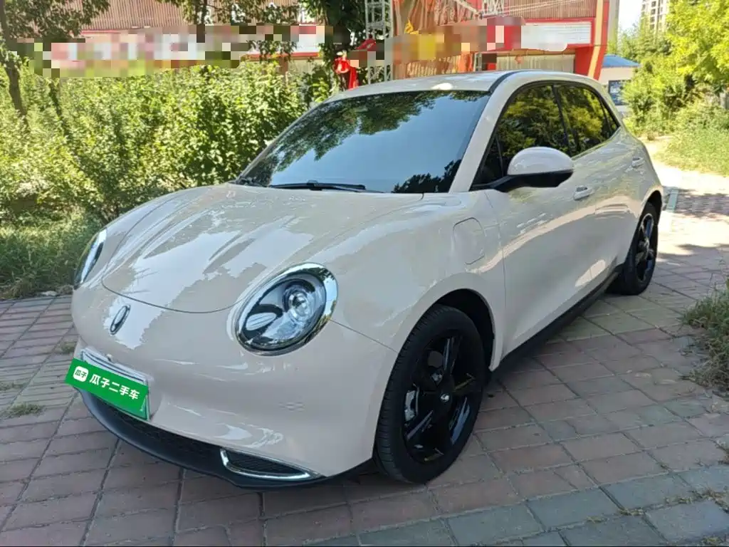 Ora Good Cat 2025 2024 501km Luxury