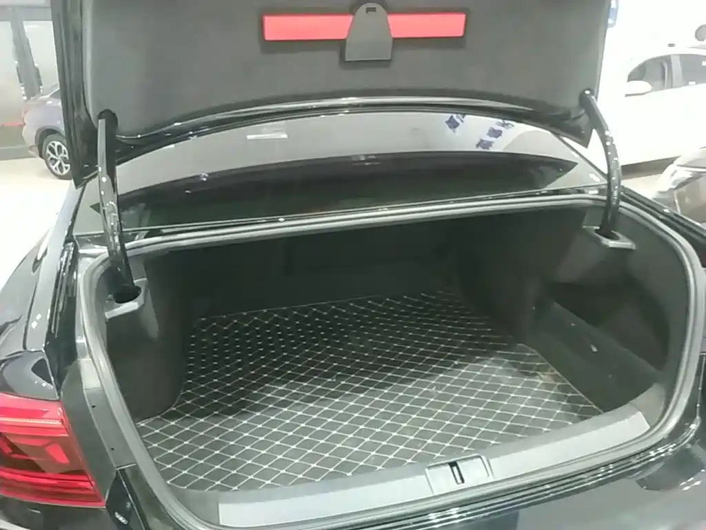 Volkswagen Magotan, миниатюра 19