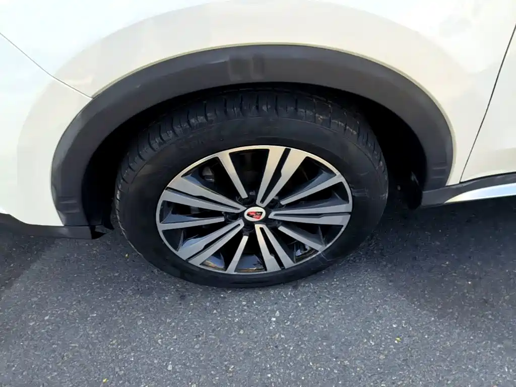 Фото 23 - Roewe RX5