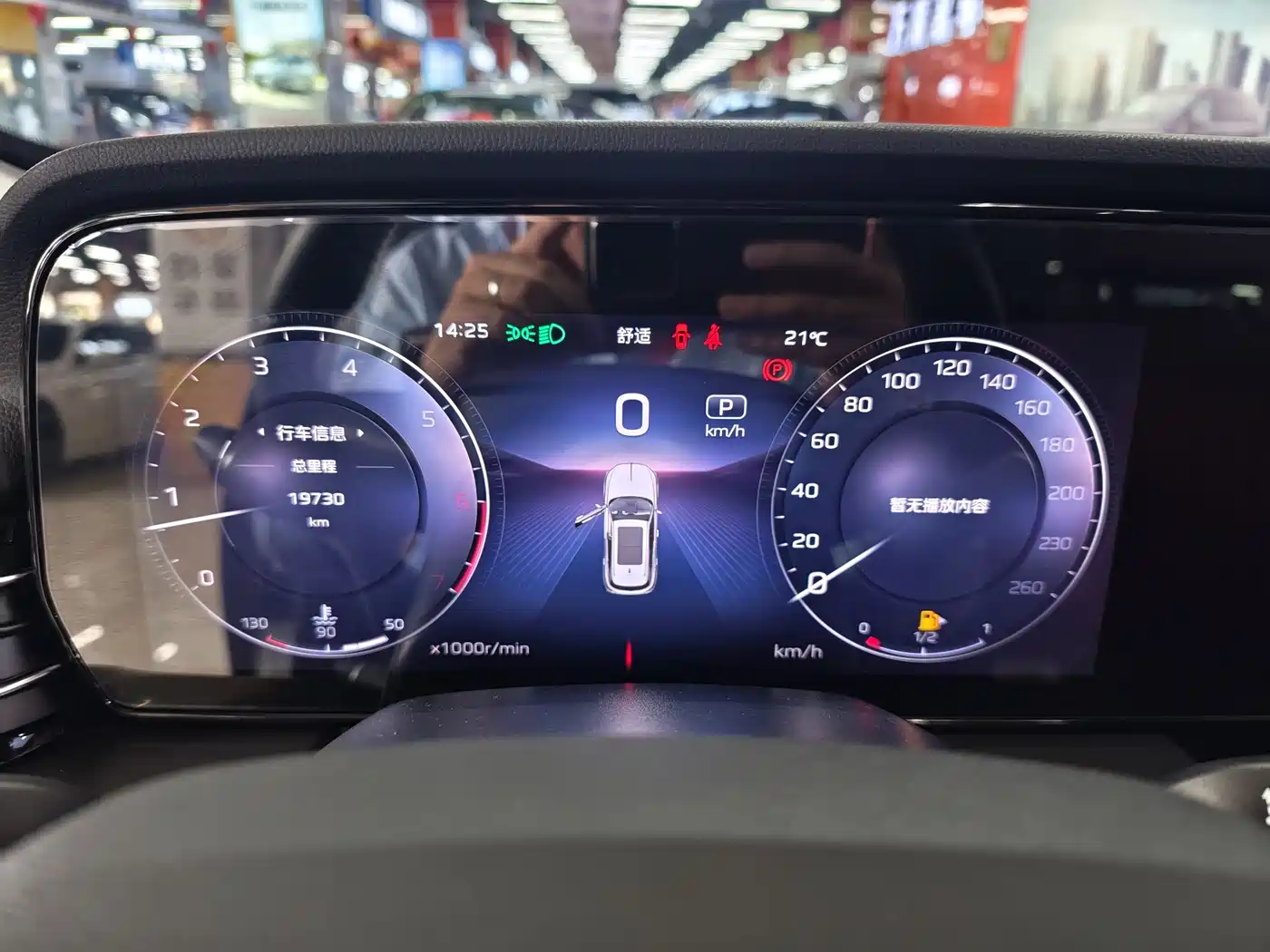Hongqi HS5 2023 2.0T Flag Pro 500,000 Units Commemorative Edition фото 7