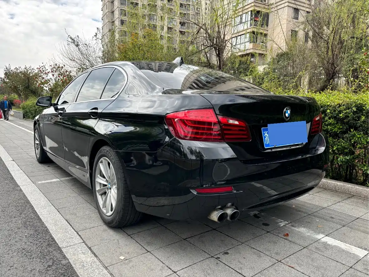 BMW 5 Series 2014 520Li Elegance фото 8