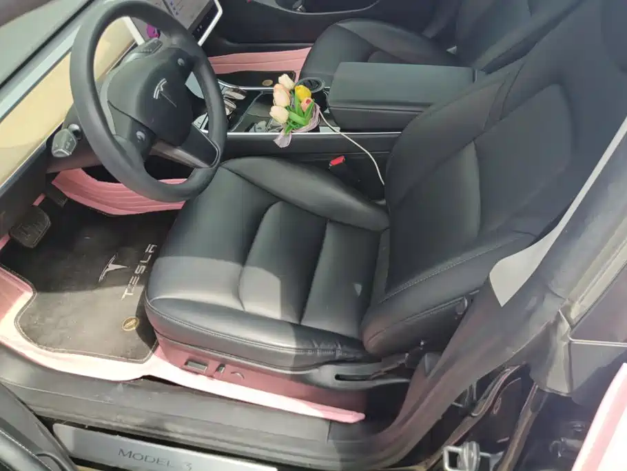 Tesla Model 3 2020 2020 Facelift Standard Range RWD Upgrade