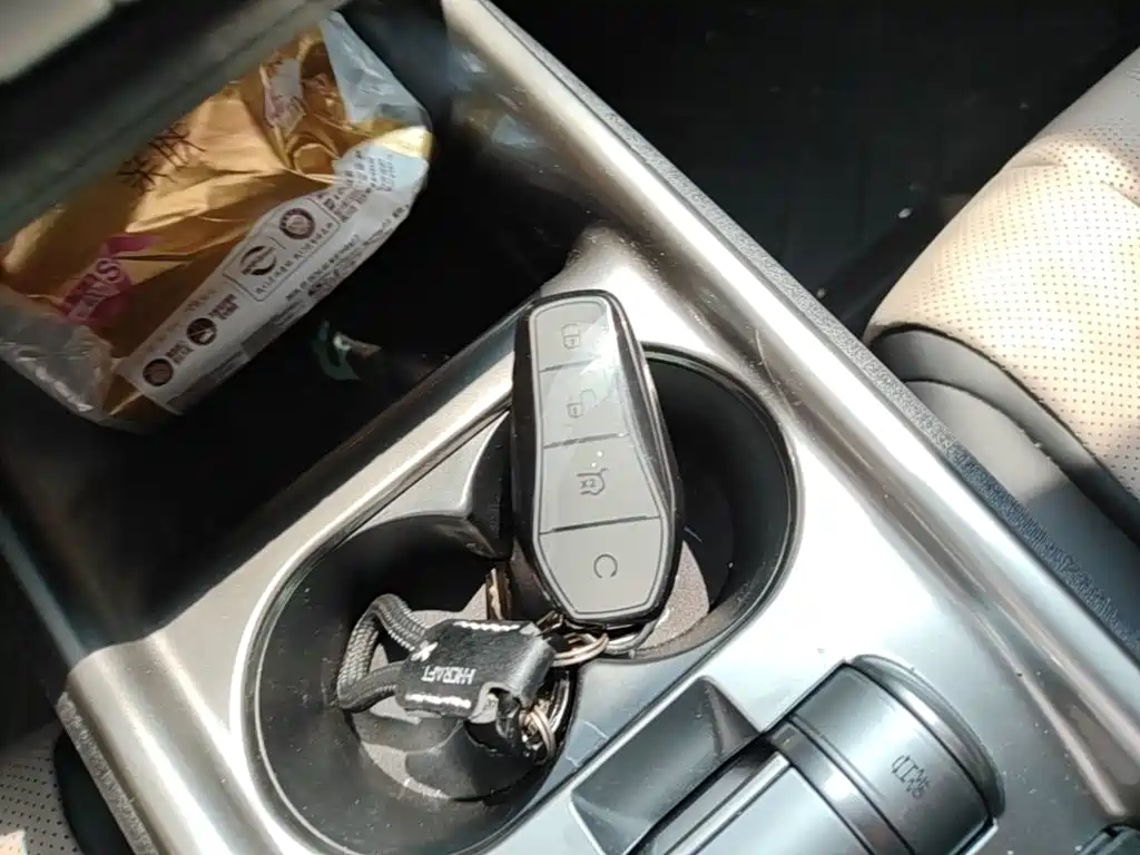 BYD Dolphin 2026 2025 420km Freedom Edition