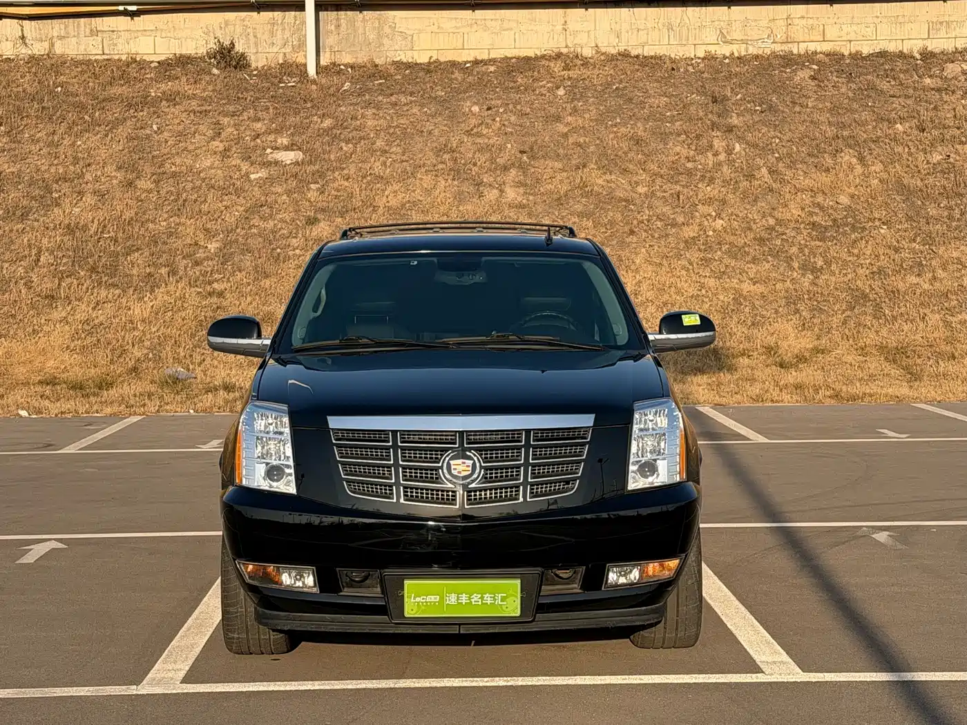 Cadillac Escalade 2010 6.0 Hybrid фото 3