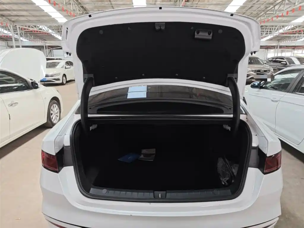 BYD Qin PLUS 2021 DM-i 55KM Premium фото 19