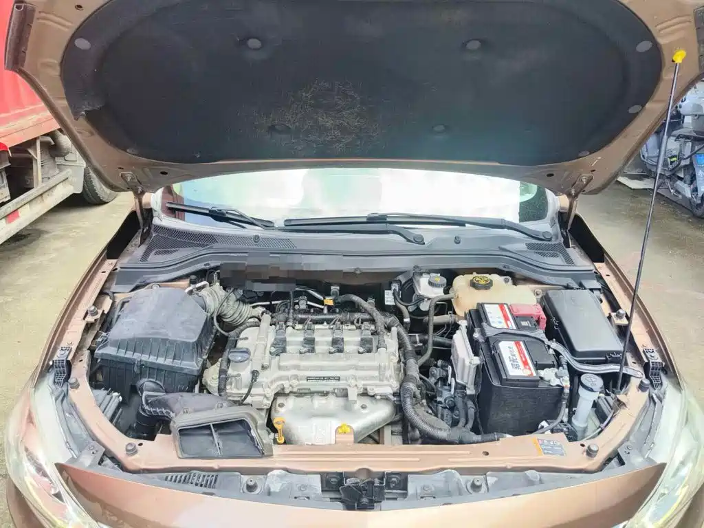 Chevrolet Cavalier 2016 2016 1.5L Manual Delight Edition