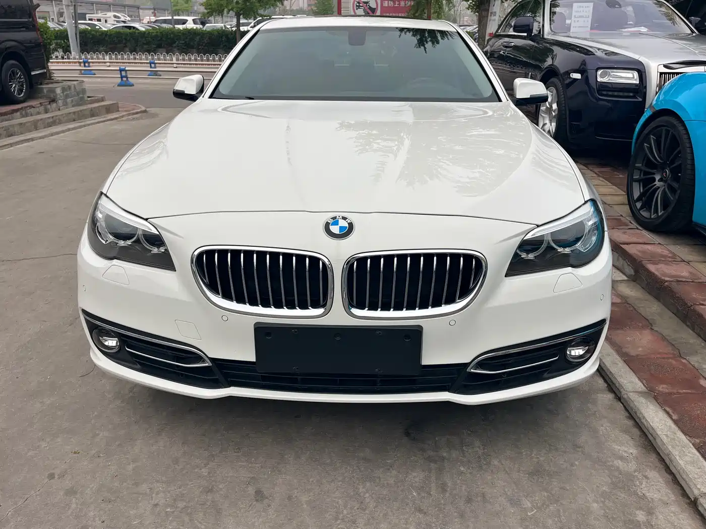 BMW 5 Series 2014 528Li Luxury Design Package фото 2