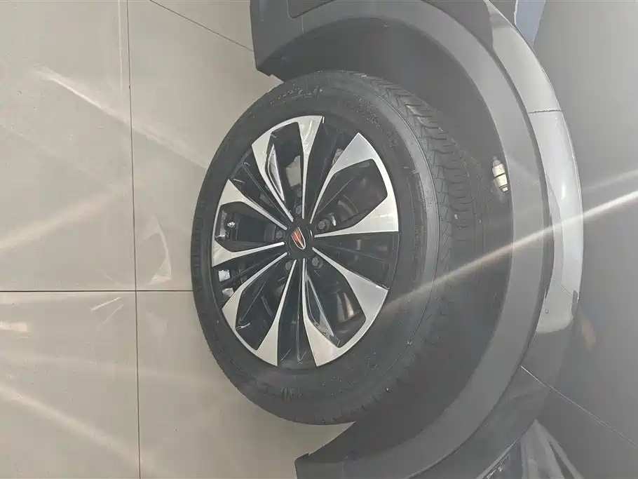 Hongqi HS7 2022 3.0T Automatic 4WD ZhiLian QiChang Edition 5-seater фото 6
