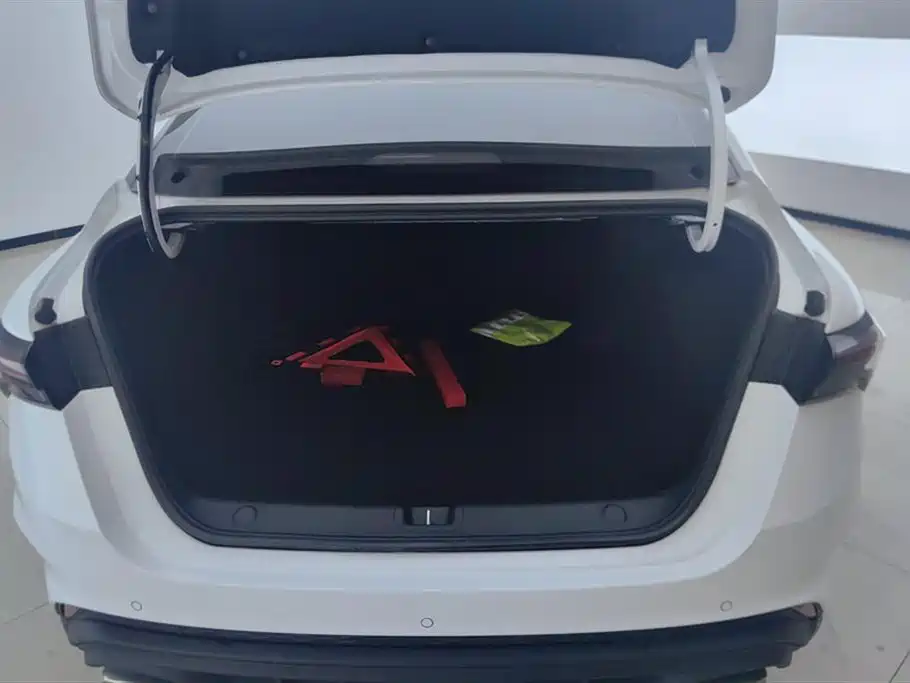 GEELY AUTOMOBILE BINRUI