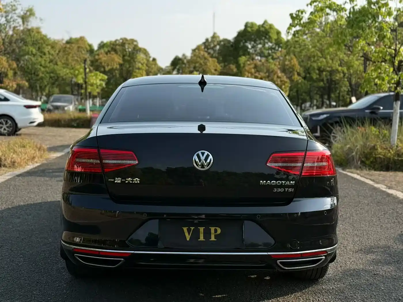 Volkswagen Magotan 2019 330TSI DSG Leading China VI фото 6