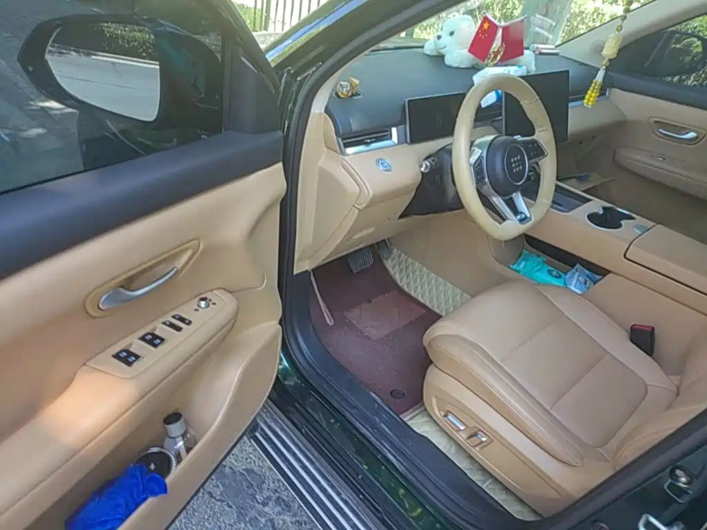 Landian E5 PLUS 2024 2025 165km Long Range Pro (5-Seater)