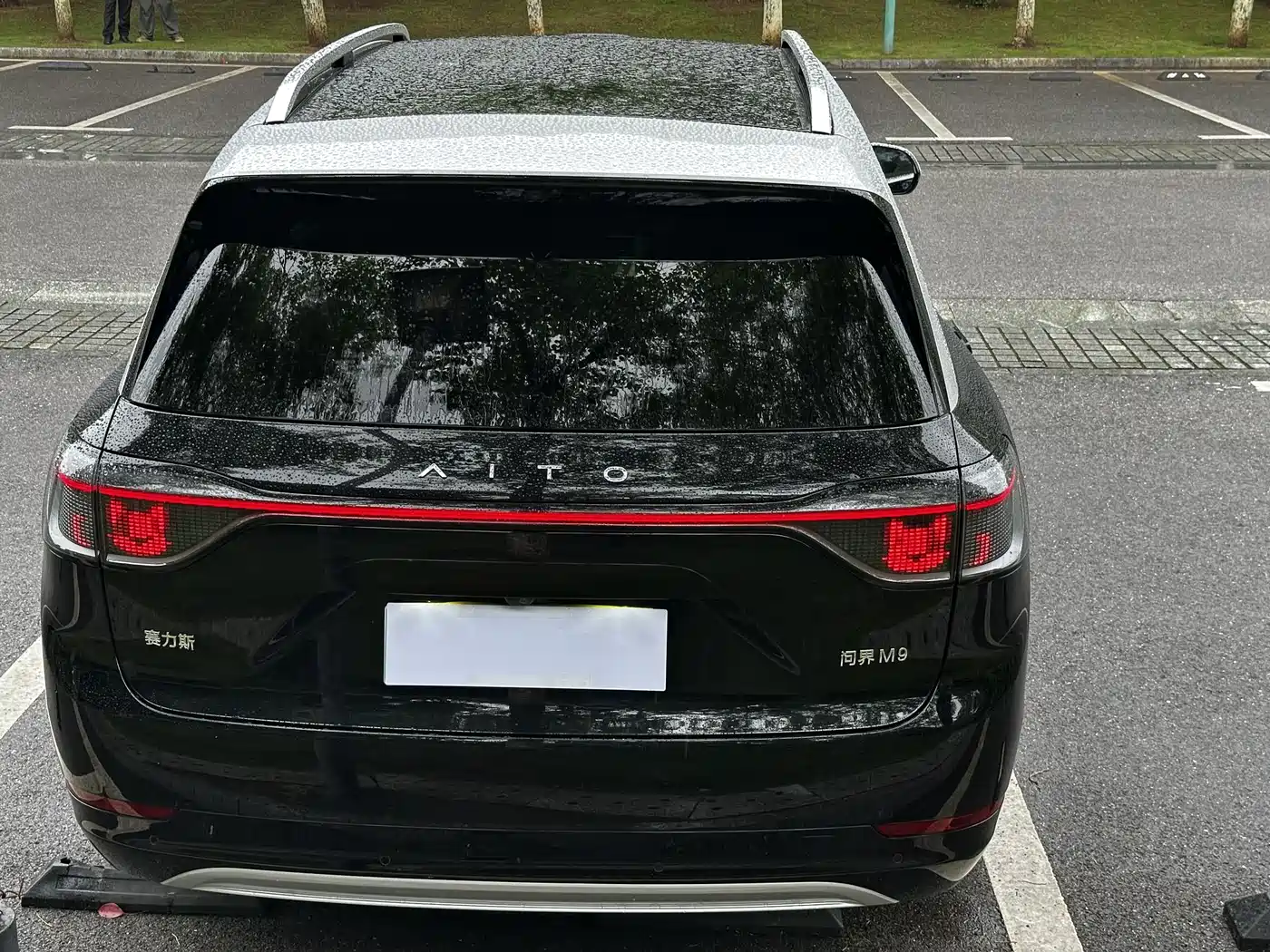 AITO Wenjie AITO M9 2024 Model Extended Range Ultra Edition 52kWh 5-Seater фото 19