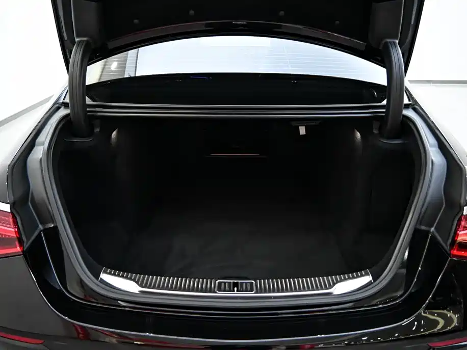 Mercedes-Benz S-Class 2023 Facelift S 450 L 4MATIC фото 37