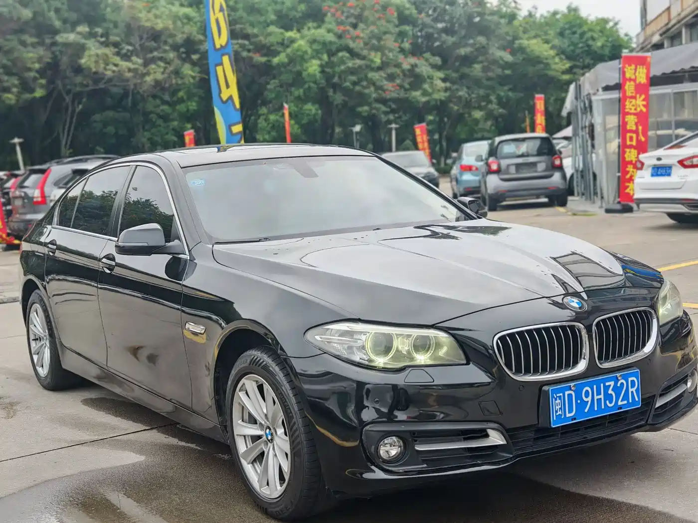 BMW 5 Series 2014 520Li Elegance фото 3