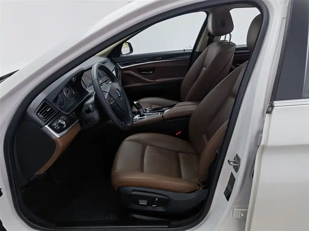 BMW 5 Series (Import) 2015 520i Elegance фото 10