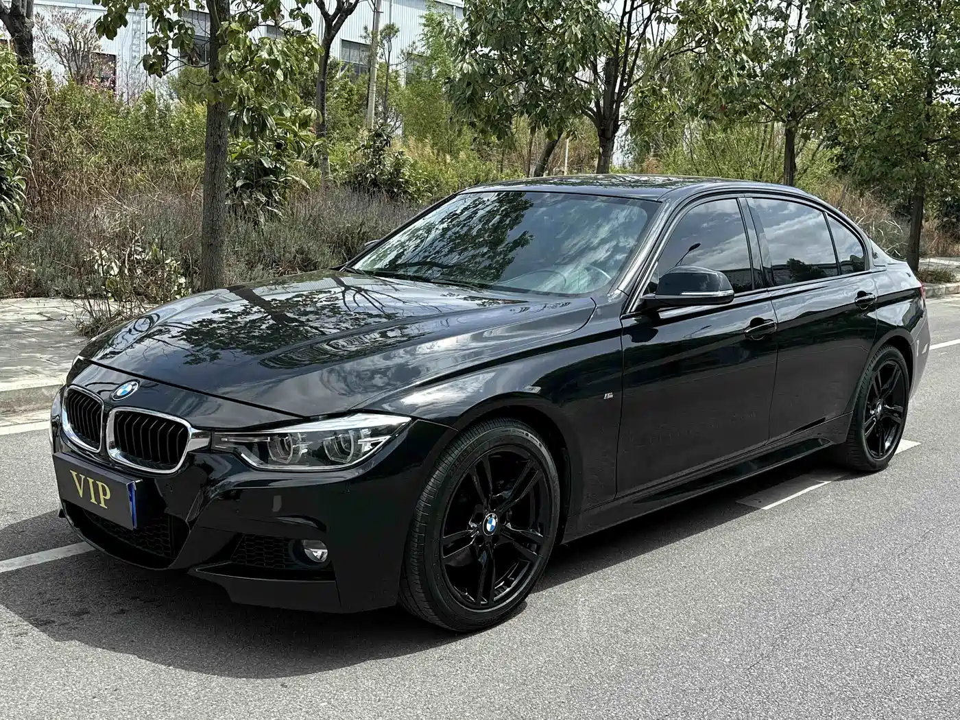 BMW 3 Series 2019 320Li M Luxury Package фото 2