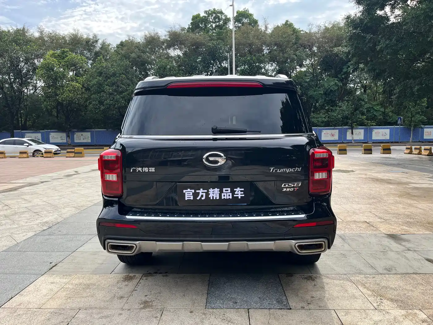 GAC Trumpchi Trumpchi GS8 2020 Model 390T FWD Luxury Smart Connect (7-seater) фото 6