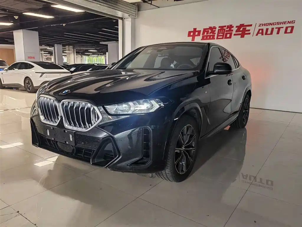 BMW X6 2023 xDrive30i M Sport Package