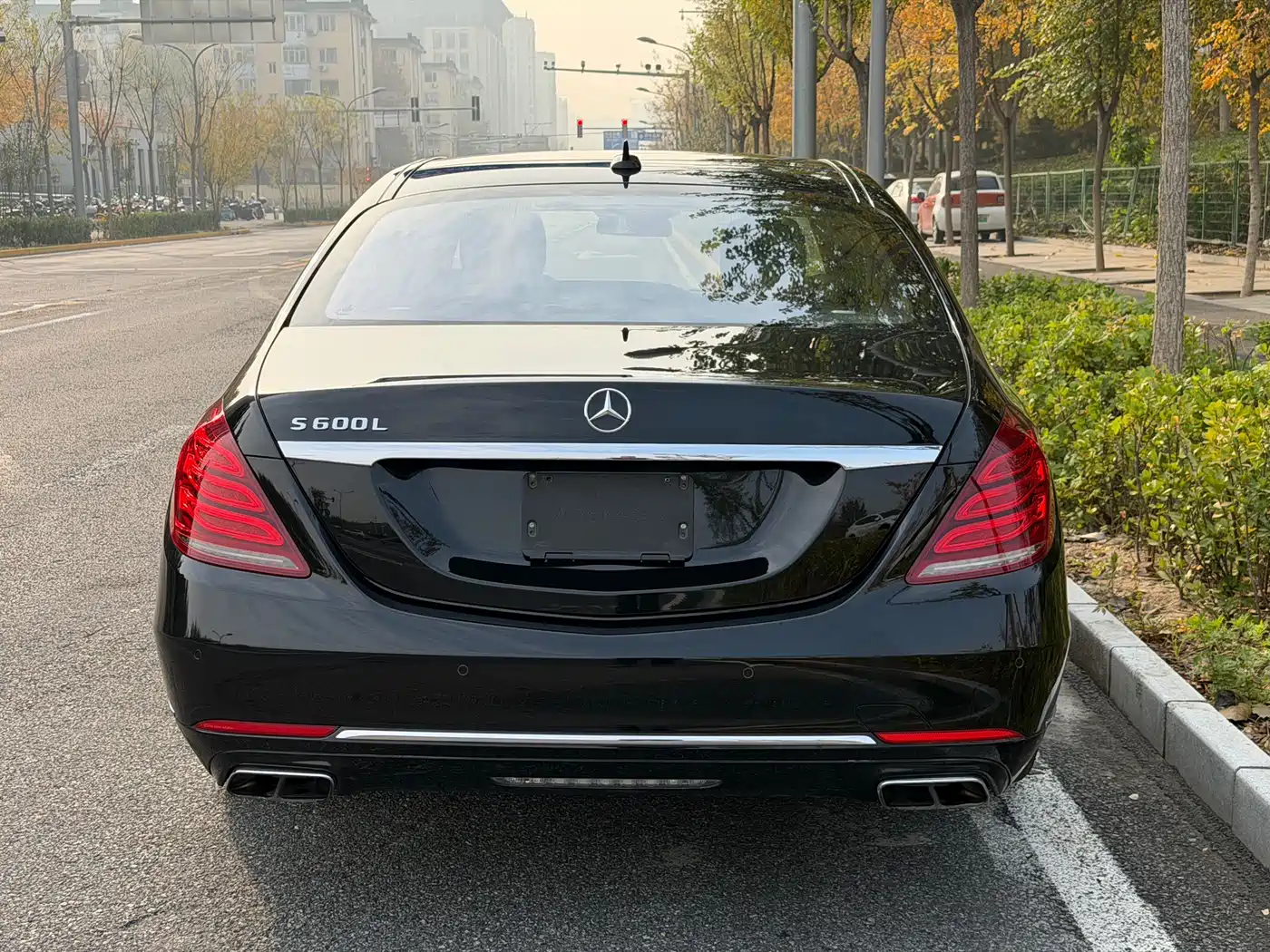 Mercedes-Benz S-Class 2014 S 600 L фото 7