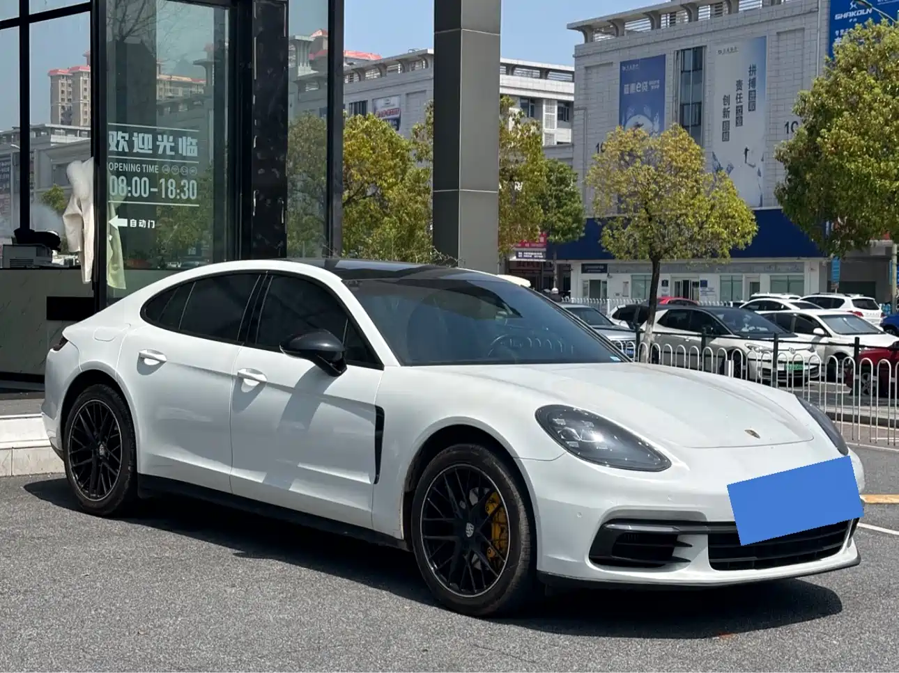 Porsche Panamera 2020 Panamera 10th Anniversary Edition 2.9T фото 3