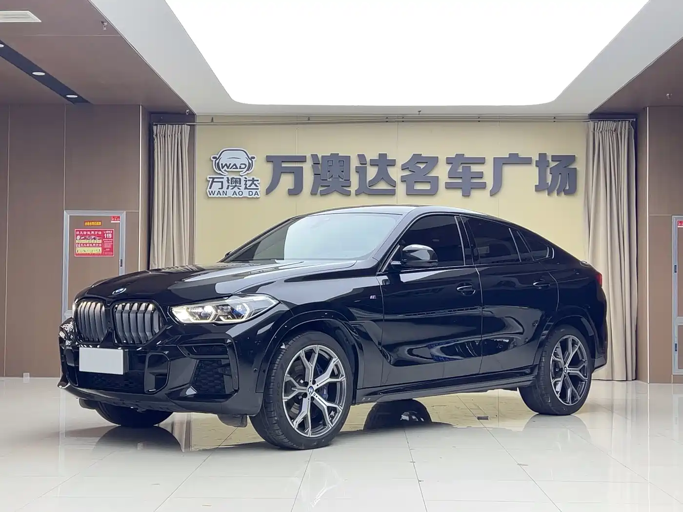 BMW X6