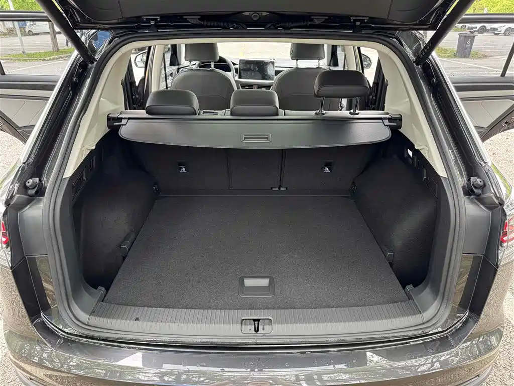 VOLKSWAGEN TANYUE
