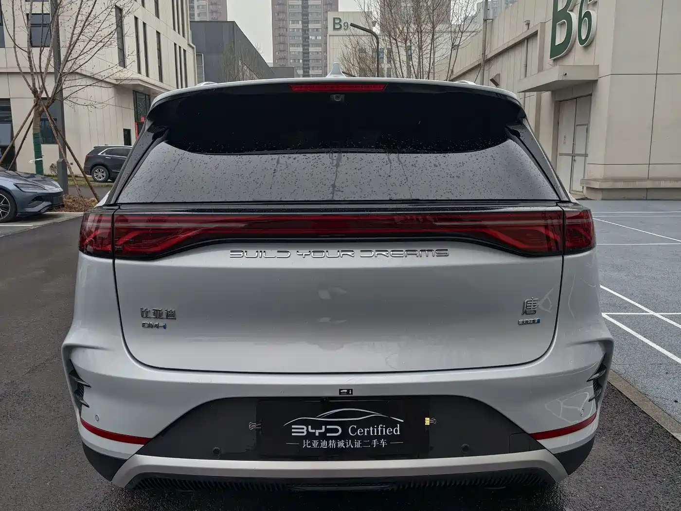 BYD Tang New Energy 2025 Smart Driving Edition DM-i 115KM Honor фото 10