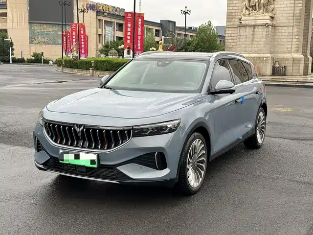 Voyah Auto VOYAH FREE 2021 4WD Extended Range Launch Edition Exclusive Luxury Package
