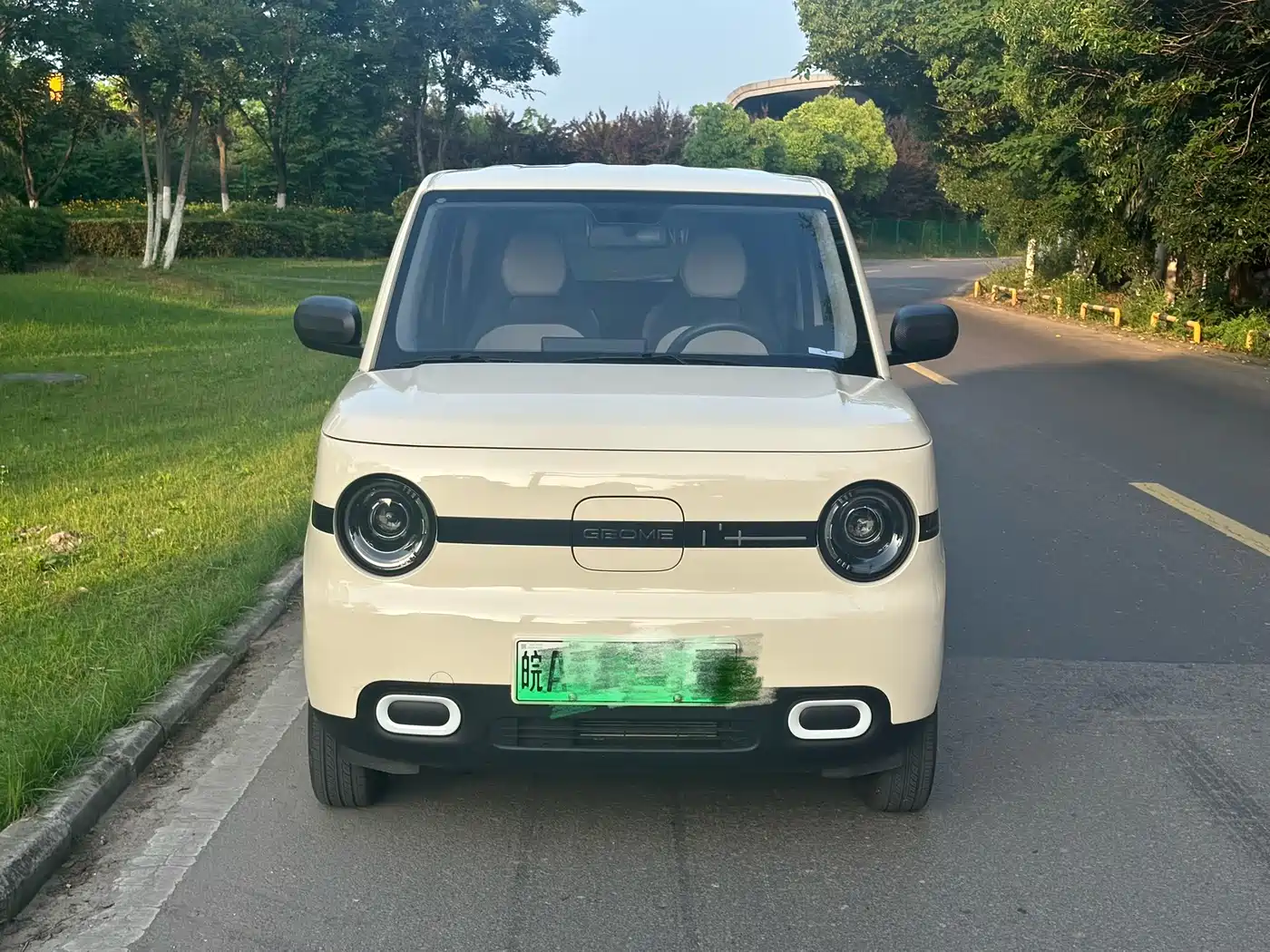Geely Galaxy Panda 2025 Panda mini 210km Vitality Bear фото 2